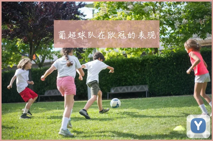 葡超球队在欧冠的表现