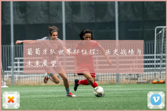 葡萄牙队世界杯征程：历史战绩与未来展望
