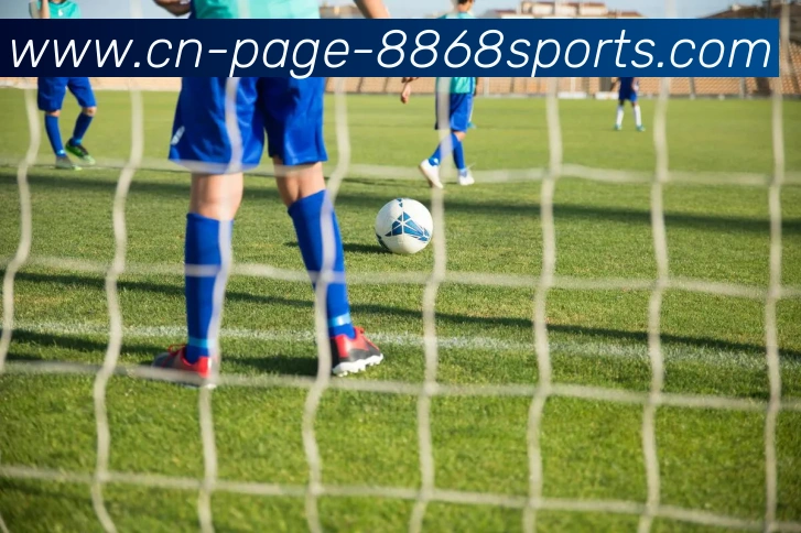 8868体育APP 封面图